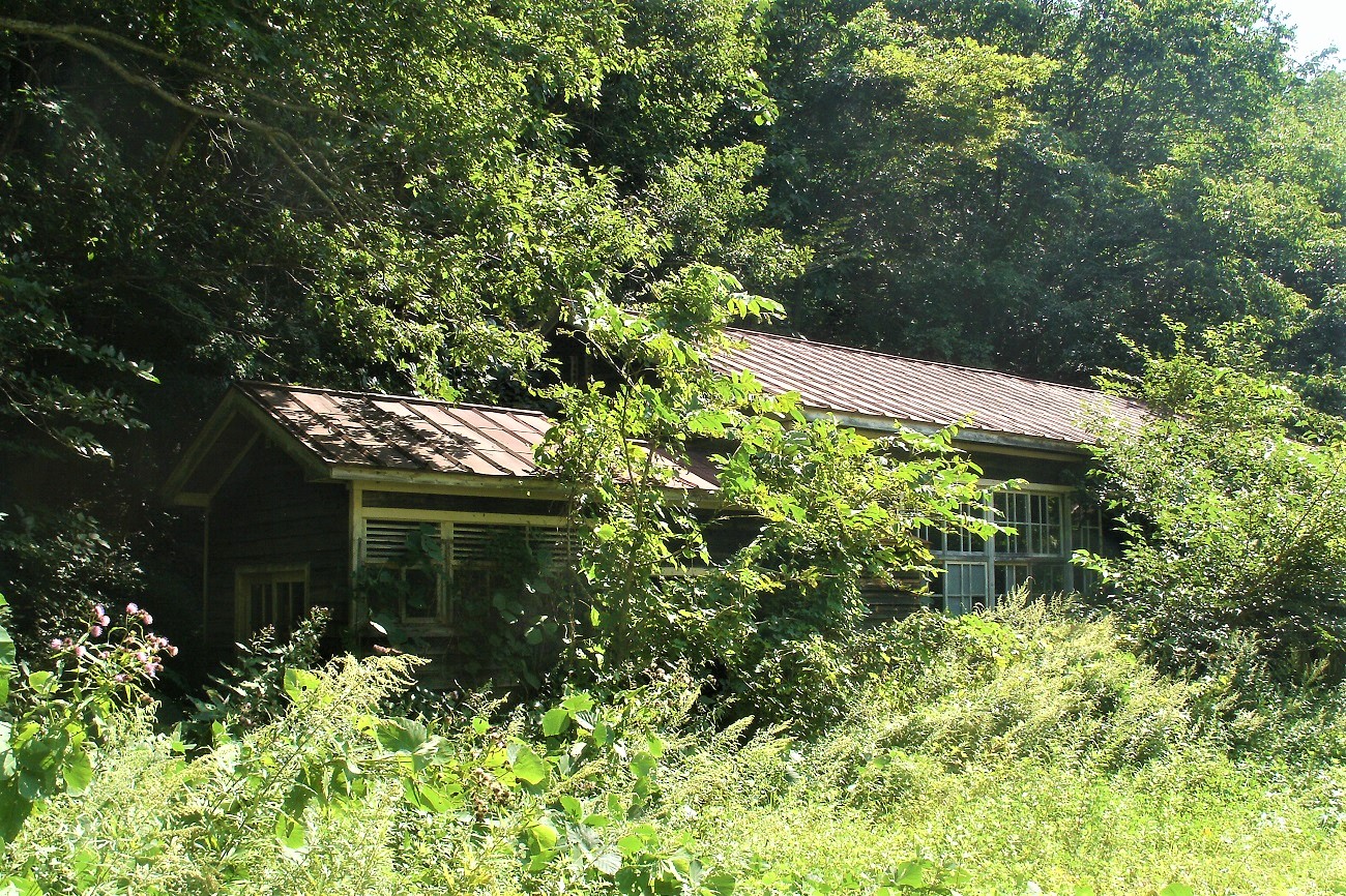 記事岩泉町立岩泉小学校 本田分校　閉校のイメージ画像