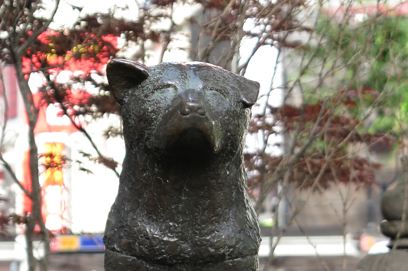 忠犬ハチ公像 移転か ファイナルアクセス