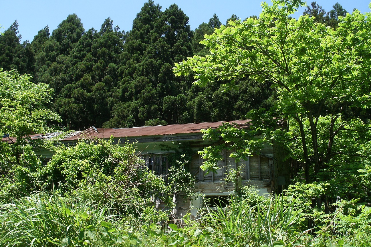 記事青海町立橋立小学校　閉校のイメージ画像