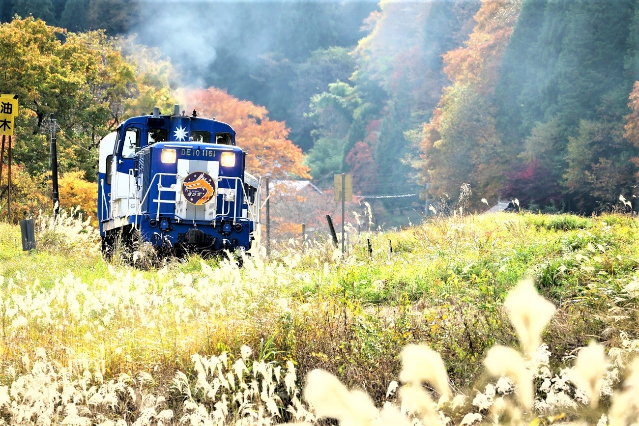 記事JR西日本 奥出雲おろち号　運行終了のイメージ画像