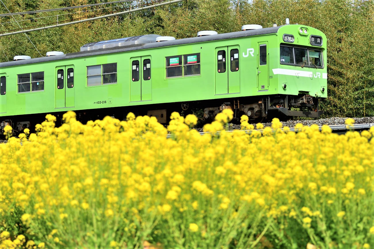 記事【JR西日本】奈良線 103系車両　定期運行終了のイメージ画像