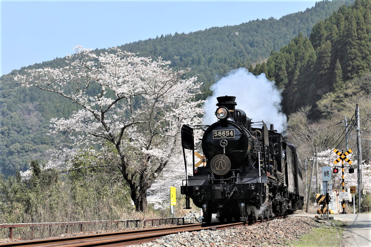 記事【JR九州】蒸気機関車58654機(SL人吉)　引退のイメージ画像