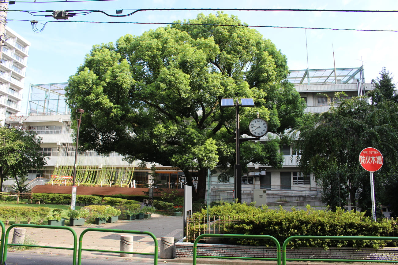 記事千代田区立練成中学校　閉校のイメージ画像