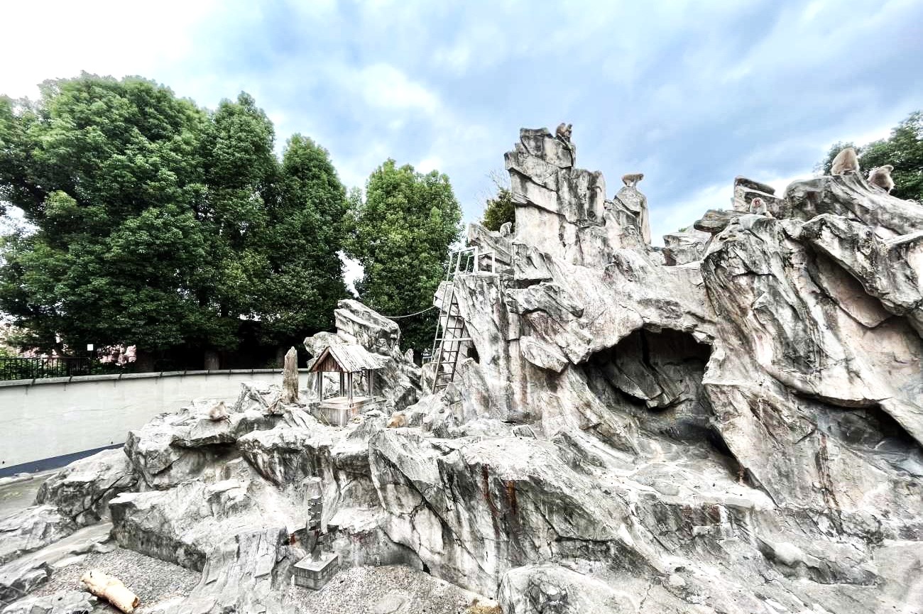 記事【上野動物園】猿山　取壊のイメージ画像