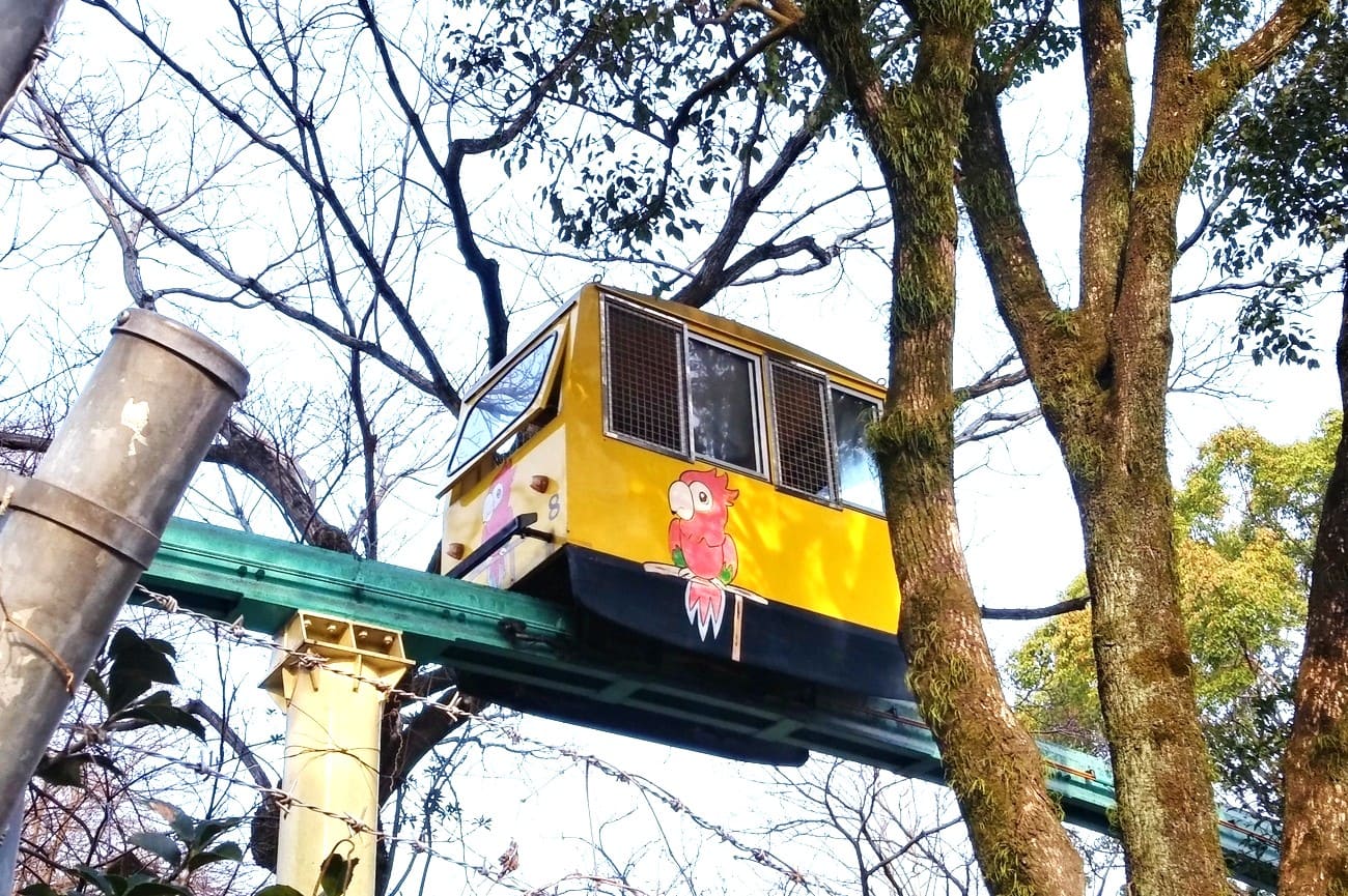 記事【熊本市動植物園】モノレール　廃止　のイメージ画像