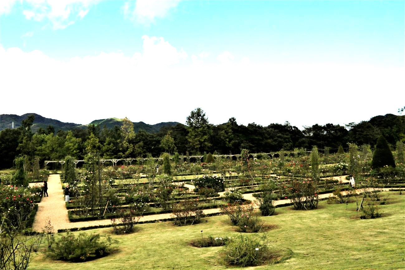 記事河津バガテル公園　閉園のイメージ画像