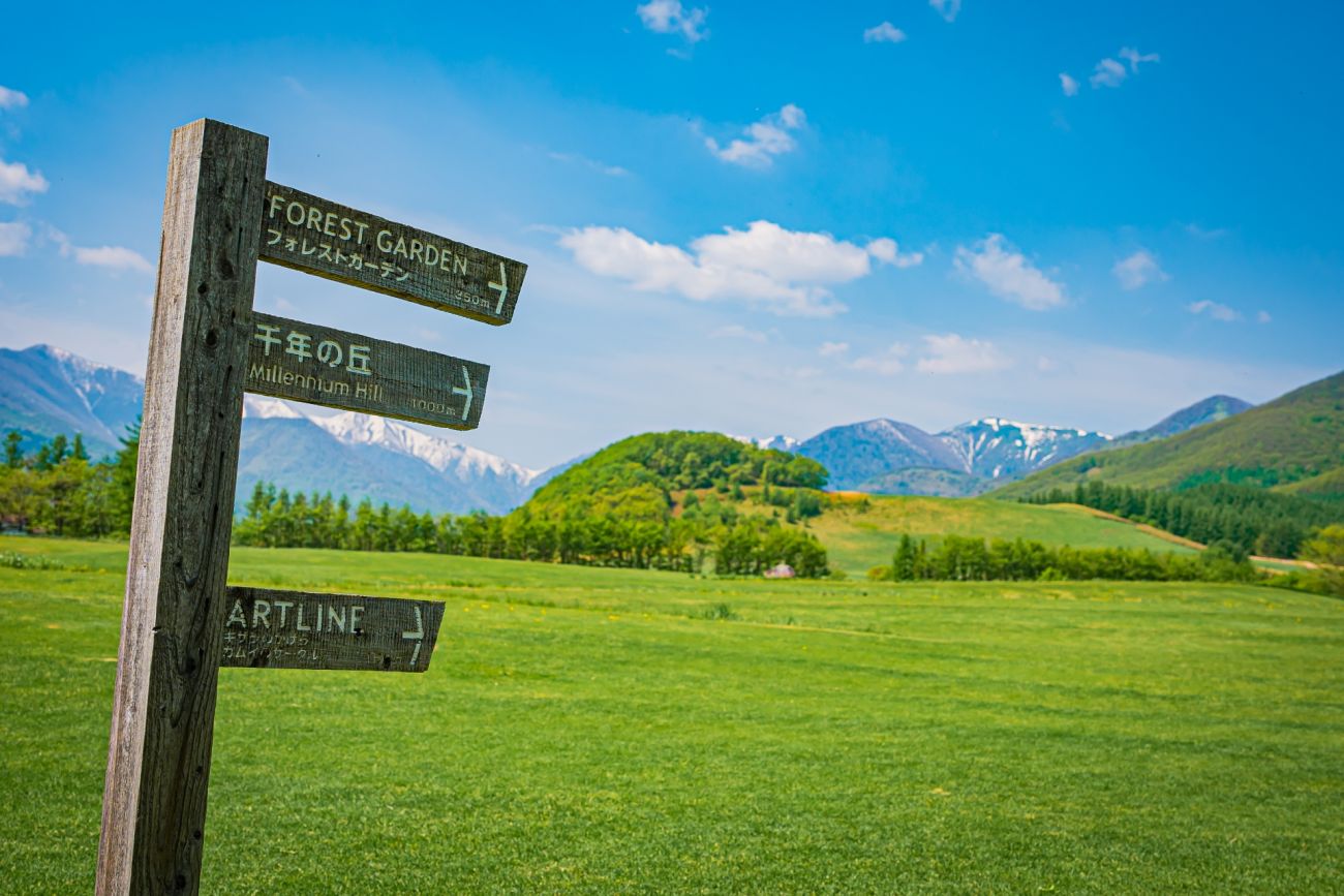 記事十勝千年の森　閉園のイメージ画像